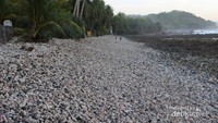 Saat sedang surut , hamparan batu terlihat jelas