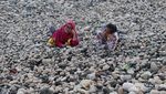 Pantai Unik di Pacitan, Isinya Batu Kerikil Besar-besar