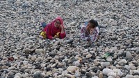 Batu-batu kerikil dalam keadaan bersih ini membuat kita bebas bermain diatasnya , bahkan berbaring santai