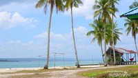 Pohon kelapa dan gubuk