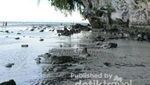 Pantai Wari, Mutiara dari Biak Numfor