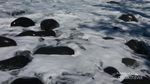 Pantai Watu Tihang yang Unik di Lampung