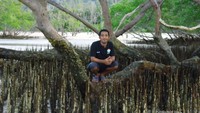 Bakau-bakau dengan akar yang menjalar ke atas permukaan