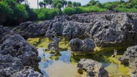 Genangan air di sela-sela karang membuat Pantai Widodaren terlihat unik