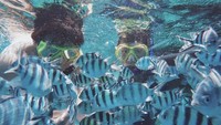 Keindahan bawah laut Karimun Jawa