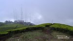 Parade Awan dan Matahari di Gunung Cikuray