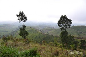Parade Awan dan Matahari di Gunung Cikuray