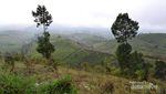 Parade Awan dan Matahari di Gunung Cikuray