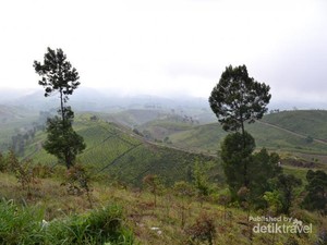 Parade Awan dan Matahari di Gunung Cikuray