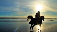 Penunggang kuda melewati pantai parangtritis menjelang senja