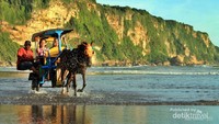Kusir yang membawa penumpang mengelilingi pantai