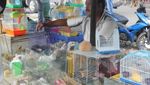 Pasar Berastagi Penuh Warna-warni
