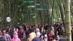 Pasar Papringan, Wisata Kuliner Tradisional dari Temanggung
