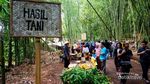Pasar Papringan, Wisata Kuliner Tradisional dari Temanggung