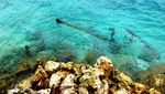 Pasir Putih Pulau Condong, Juaranya Wisata di Lampung Selatan
