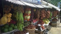 Coba lihat, buah apa pun ada!