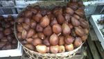 Patuk, Surga Buah di Gunungkidul