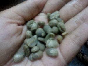 Pecinta Kopi? Wajib Coba Kopi Amungme