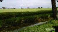 Pemandangan sepanjang jalan