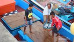 Pelabuhan Lampulo, Pusatnya Ikan Segar di Banda Aceh