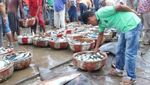 Pelabuhan Lampulo, Pusatnya Ikan Segar di Banda Aceh