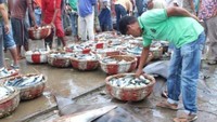 Berbagai jenis tangkapan hasil Laut