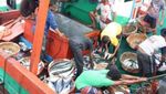Pelabuhan Lampulo, Pusatnya Ikan Segar di Banda Aceh
