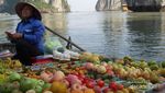 Pemandangan Ajaib di Halong Bay, Vietnam