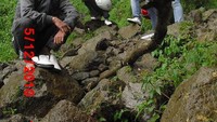 pinggiran air terjun
