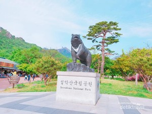Pemandangan Cantik Ini Punya Korea Selatan