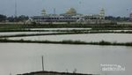 Pemandangan Hijau di Bandara Sultan Iskandar Muda