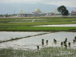 Pemandangan Hijau di Bandara Sultan Iskandar Muda