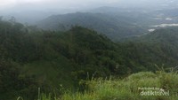 Pemandangan yang menyegarkan mata