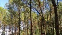 Perjalanan ke Curug Bajing