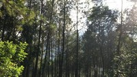 Perjalanan ke Curug Bajing