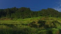 Perjalanan ke Curug Bajing