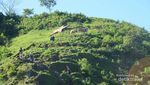 Pemandangan Indah dari Bukit Selong Sembalun