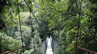 Canopy Trail Ciwalen