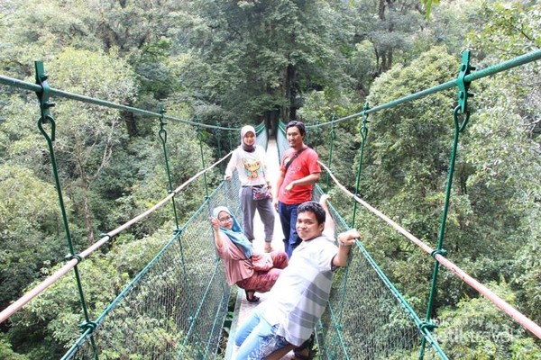 Jembatan ini mampu menopang massa 5 orang