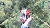 Jembatan ini mampu menopang massa 5 orang