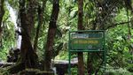 Pemandangan Indah dari Canopy Trail Cilawen