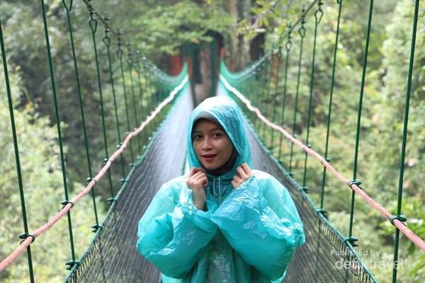 Canopy Trail sangat menarik dijadikan tempat untuk berfoto