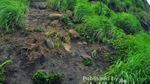 Pemandangan Luar Biasa dari Atas Gunung Batu Jonggol