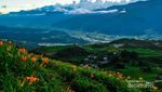 Pemandangan Paling Romantis di Taiwan: Gunung Liushidan