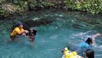 Pemandian Air Tawar Cantik di Pulau Rote, NTT