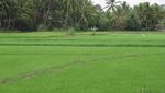 Pembukaan Tour de Singkarak 2012, Saatnya Sumbar Berpesta
