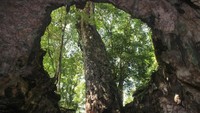Keunikan Goa Rancang Kencono