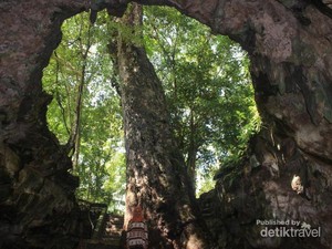 Penampakan Pohon Besar di Dalam Gua Gunungkidul