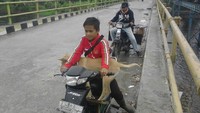 Tampak para pemburu babi hutan yang melintasi area Danau Kerinci.