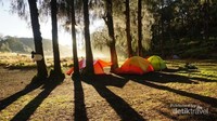Camping